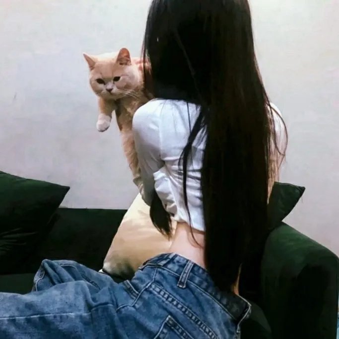 小谢尔顿第一季